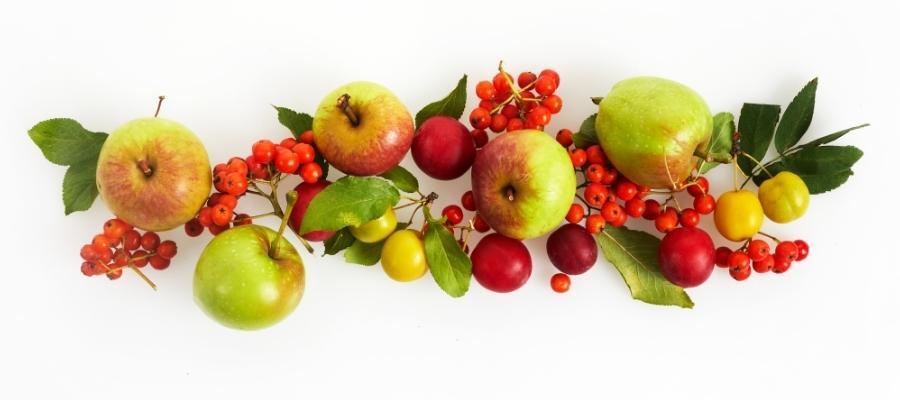 En Çok Tercih Edilen Bowl Malzemeleri Nelerdir? 