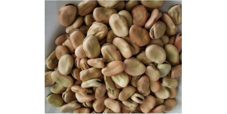 Sağlıklı Naturalköyürünleri Bakla 1 Kg Yorumları