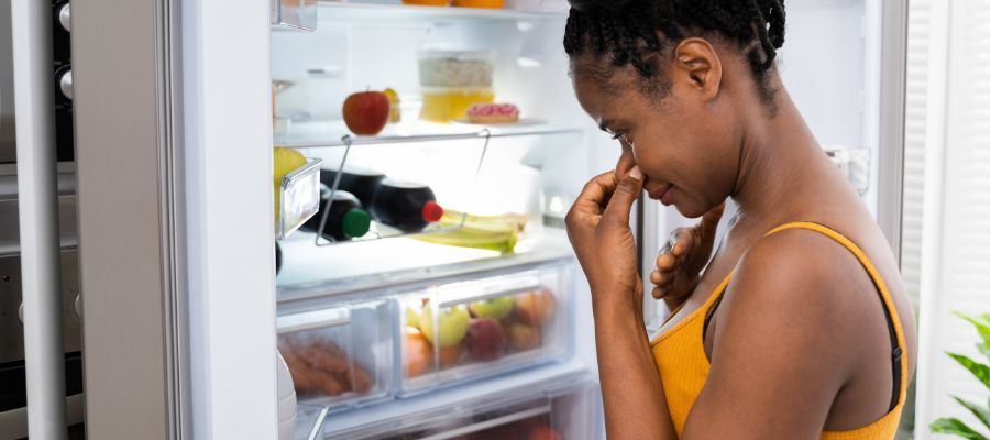 Buzdolabı Kokusu Neden Olur?