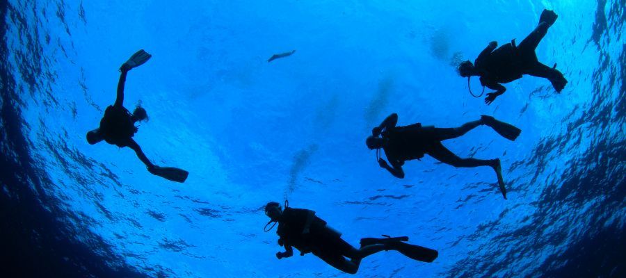 Scuba Diving Nasıl Yapılır?