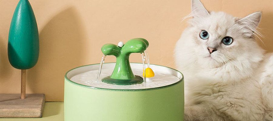 Kedi Su Pınarı Yapımı