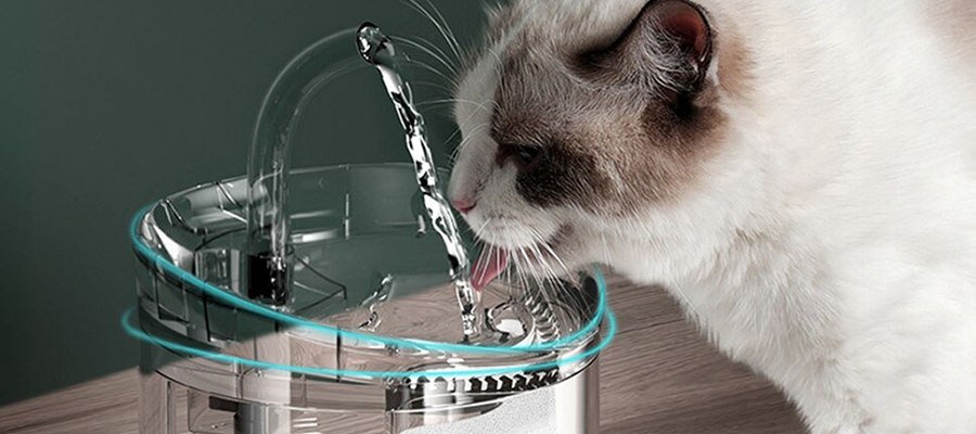Tüylü Dostlarınızın Sağlıklı Su İçmesini Sağlayan Kedi Su Pınarı Nedir?