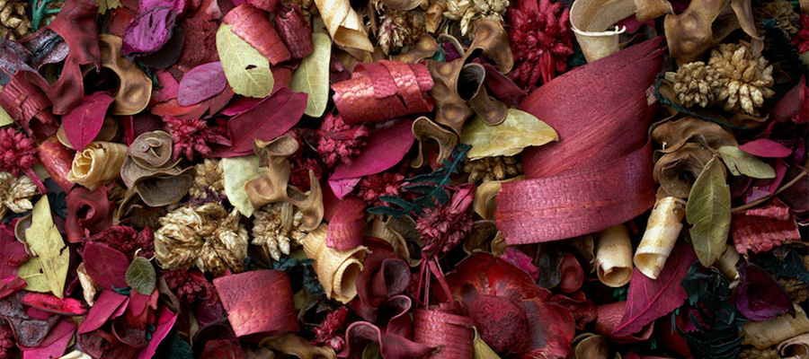  Çiçek Potpori Çeşitleri Nelerdir? 