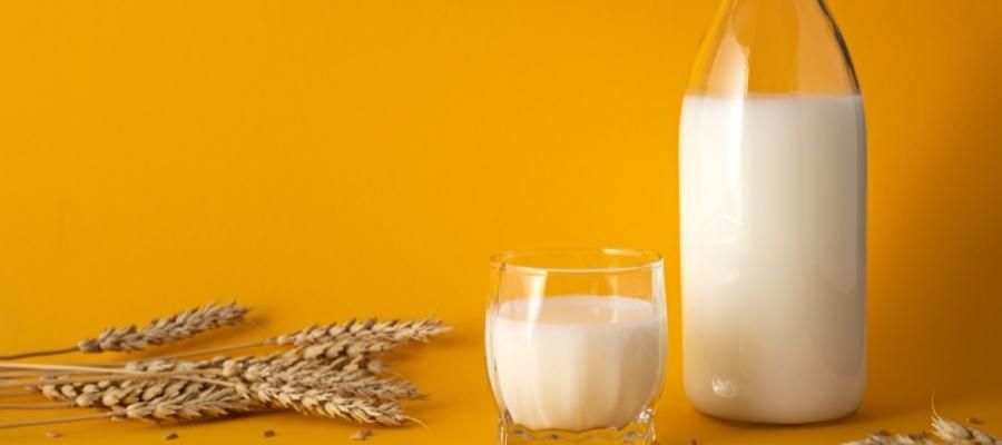 En Sağlıklı Bitkisel Süt Hangisi?