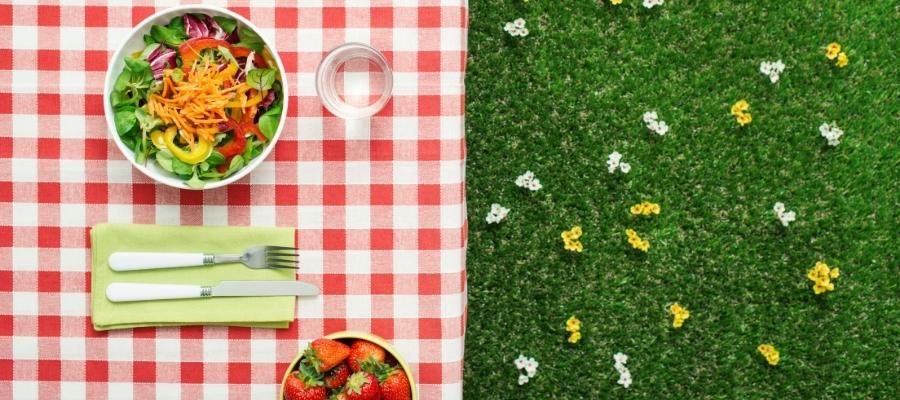 Diyet Yapanlar için Özel Piknik Menüsü