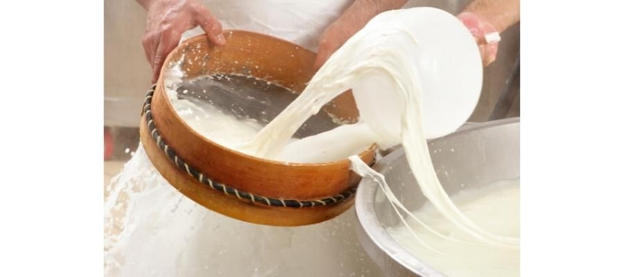 Sütten Peynir Nasıl Yapılır? 