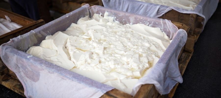 Tofu Nasıl Yapılır? Tarifi ile ilgili Püf Noktalar