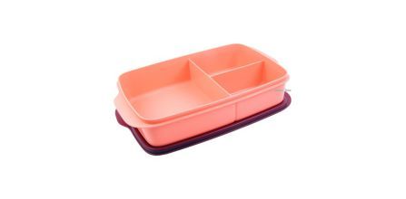 Çocukların Tercihi Tupperware Beslenme Kutusu