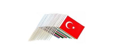 Türk Devletleri Bayraklarının Birbirinden Çeşitli Boyutları