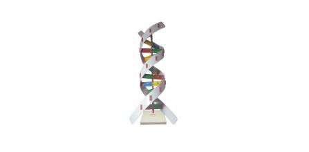 Öğrenmenin Eğlenceli Yolu DNA Modeli
