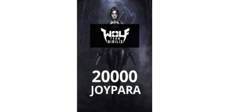 Joypara Çeşitleri, Fiyatları ve Özellikleri