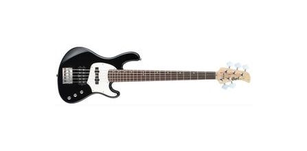 Bass Gitar Modellerinde Harika Tasarım Detayları