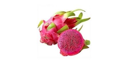 Pitaya Yetiştirme Koşulları