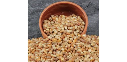 Kırıntı Çerez Kavurga Mısır 1 Kg Fiyatı ve Kampanyaları
