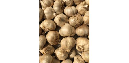 Edovital Siyah Sarımsak 1 kg Yorumları