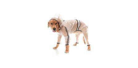 Petza Rinda Büyük Irk Köpek Yağmurluk Fiyatı ve Yorumları