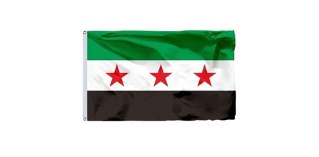Suriye Bayrak Modelleri