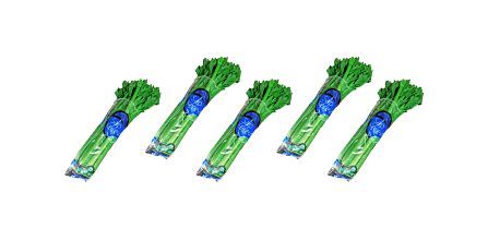 Erüst Tarım Sap Kereviz (Celery) 5’li Paket Fiyatı