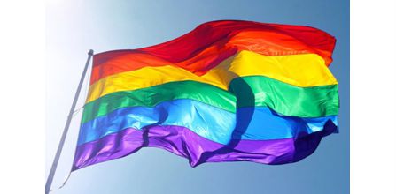 Dikkat Çeken Çelikonline Lgbt Bayrağı 70x105 cm