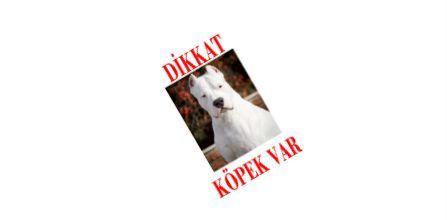 ECS Design Dikkat Köpek Var Levhası (Dogo Argentino) Fiyatı