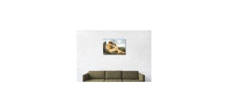 Bitablom Alexandre Cabanel Kanvas Tablo Sağlamlığı Nasıl?