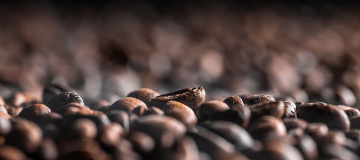 Çekirdek Kahve Seçimi: Kahve Çekirdeği Seçerken Nelere Dikkat Edilmelidir?