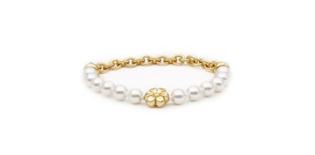 Renkli Görünümü ile Lotus Çiçeği