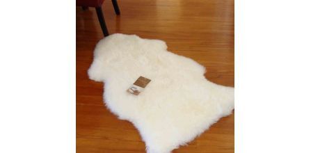 Deren Deri Koyun Postu Paspas Fiyatı