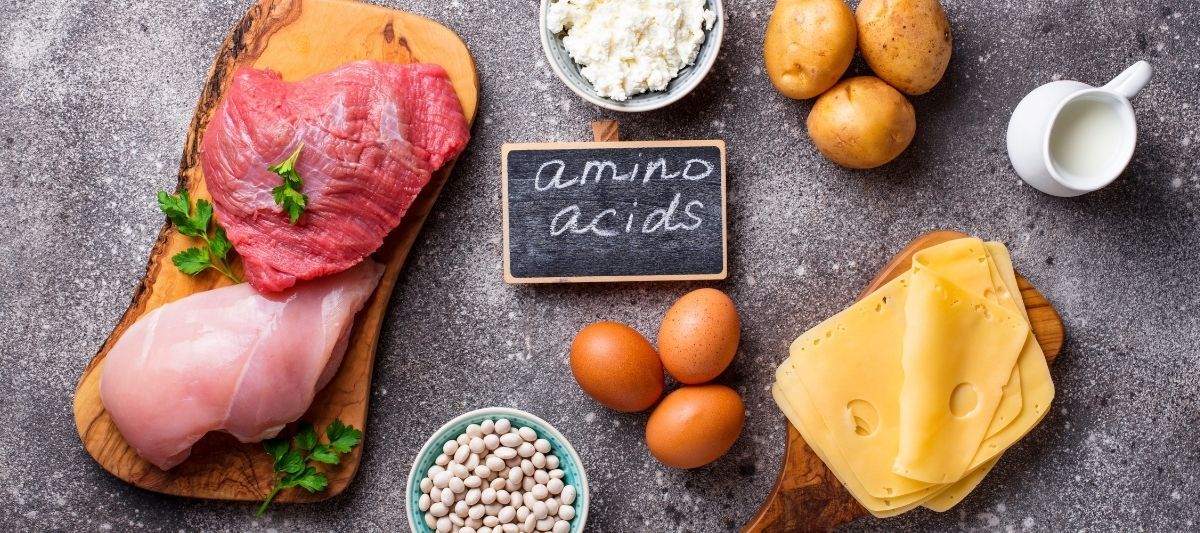 Proteinlerin Yapı Taşı Amino Asit Nedir? Amino Asitlerin Özellikleri Nelerdir?