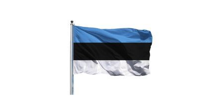 Estonya Bayrağı Fiyatları