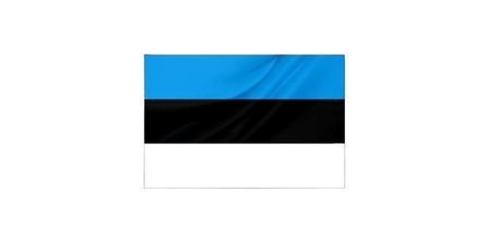 Estonya Bayrağı Çeşitleri