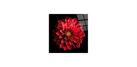 Zarif Tasarımı ile Pi Dekorasyon Çiçek Cam Tablo