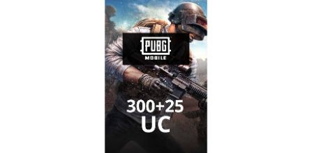 PUBG Mobile 300 UC Oyun İçin Yeterli midir?