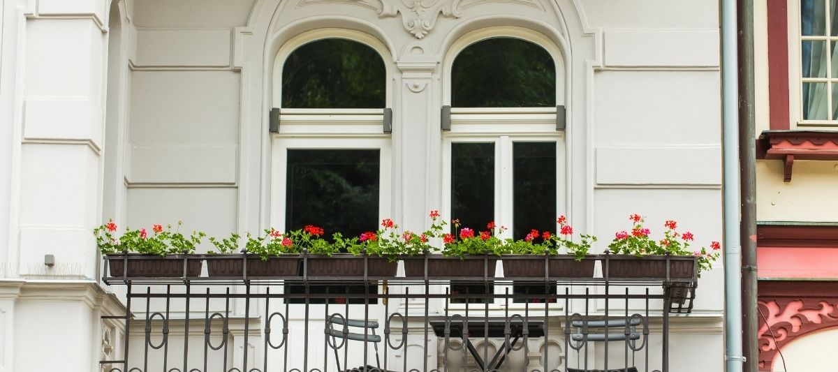Balkonunuzu Renklendirecek Balkon Saksı Çiçekleri Nelerdir?