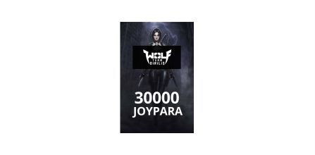 Joygame Wolfteam 30.000 Joypara Özellikleri