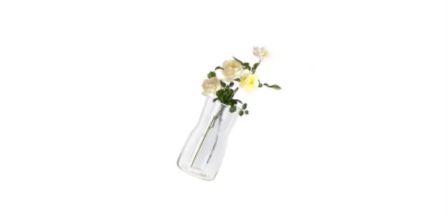 LIM Flowers İstanbul Küçük Boy Cam Vazo Fiyatları
