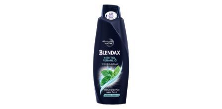 Blendax Erkekler İçin Mentollü Şampuan Özellikleri
