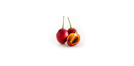 Fidancıyız Domates Ağacı Tamarillo Meyvesi Fidan Özellikleri