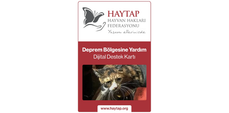 Yardımlarını Dijital Ortamdan Yapmak İsteyenlere Özel Dijital Destek Kartları