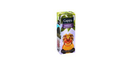 Her Yaşın Favorisi Cappy Meyve Suyu