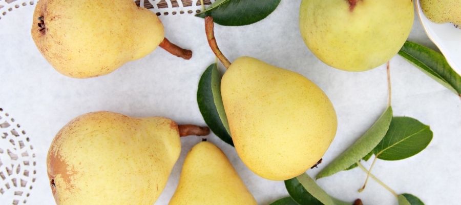 Armutların Beslenme Değerleri ve Faydaları