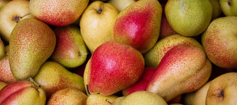 Hangi Armut Ne Zaman Tüketilmelidir?