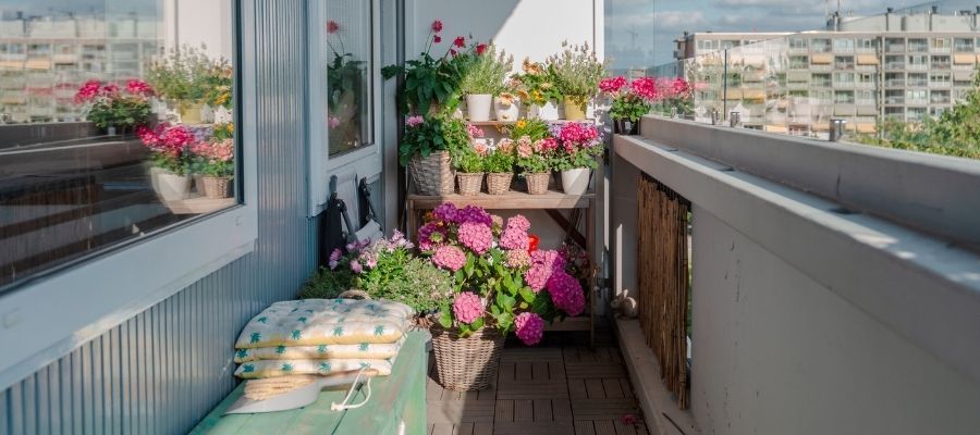 Balkon Çiçeklerinin Bakımı Nasıl Olmalıdır?