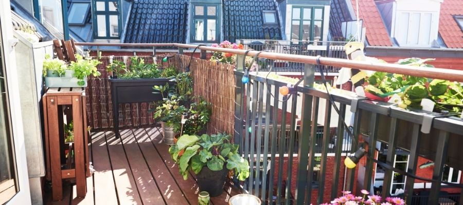 Balkon Çiçekleri için Tasarım ve Düzenleme Önerileri