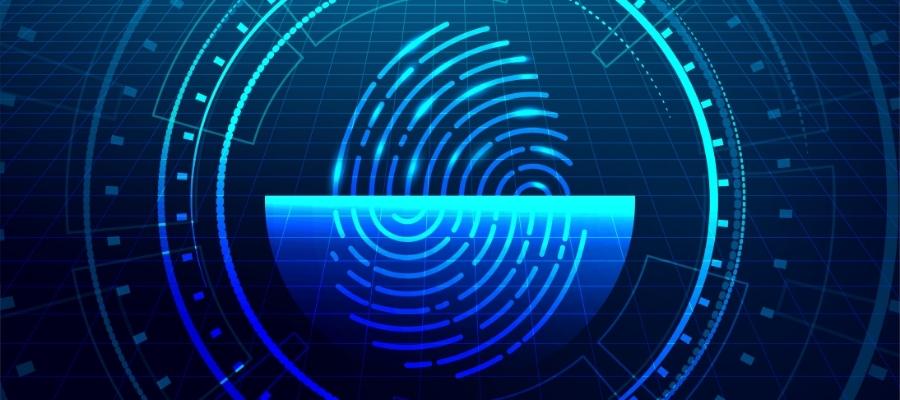 Body Scannerın Kullanım Alanları