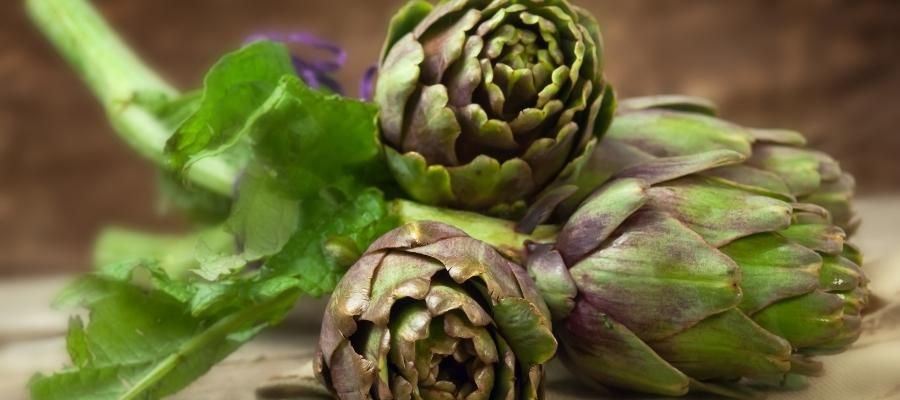 Enginar Yaprağının Bilinmeyen Faydaları