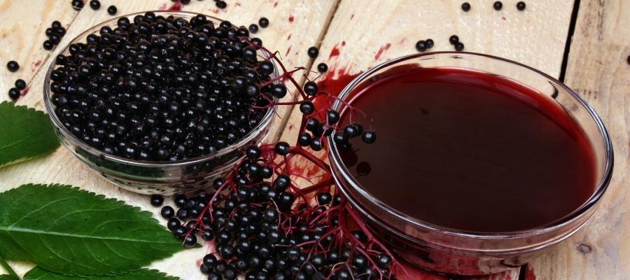 Kara Mürveri Nasıl Kullanmalı ve Hangi Formlarda Tüketmelisiniz?