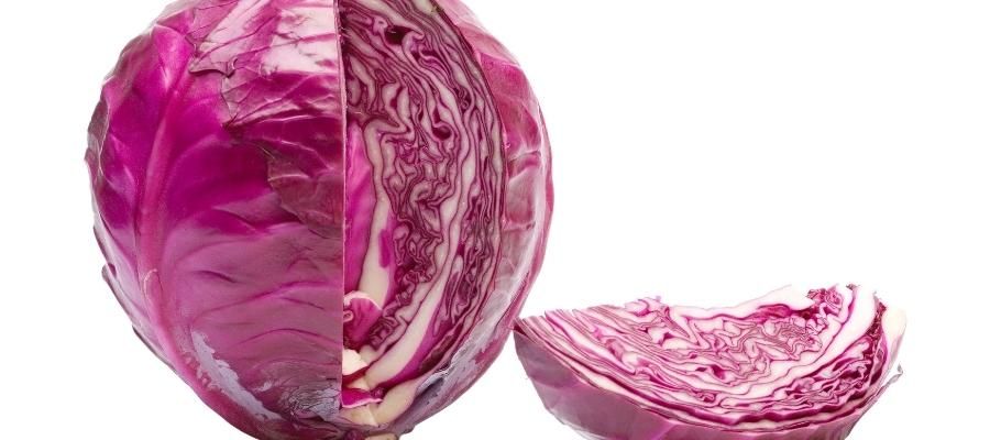 Kırmızı Lahana Turşusu Yapımında Dikkat Edilmesi Gereken Noktalar