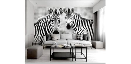 Beğeni Toplayan Zebra Duvar Kağıdı Alternatifleri