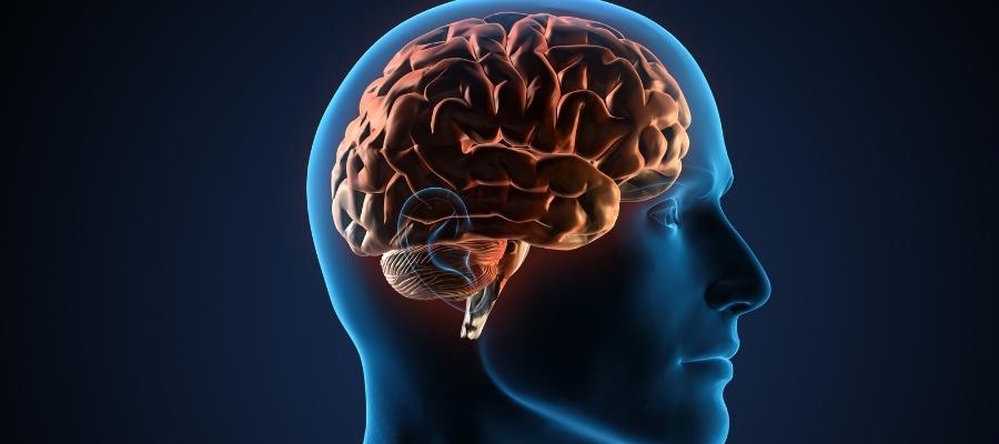 Beyin Sisi Sebepleri Nelerdir?